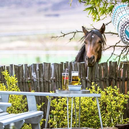 Morning Glory Cottages Venterstad Εξωτερικό φωτογραφία