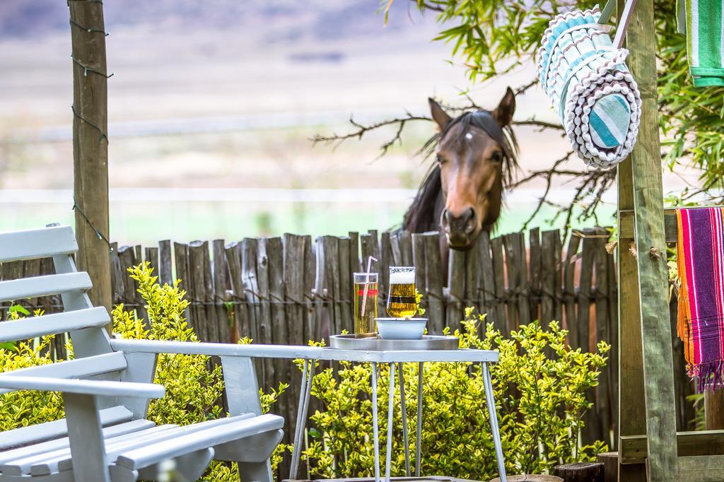 Morning Glory Cottages Venterstad Εξωτερικό φωτογραφία