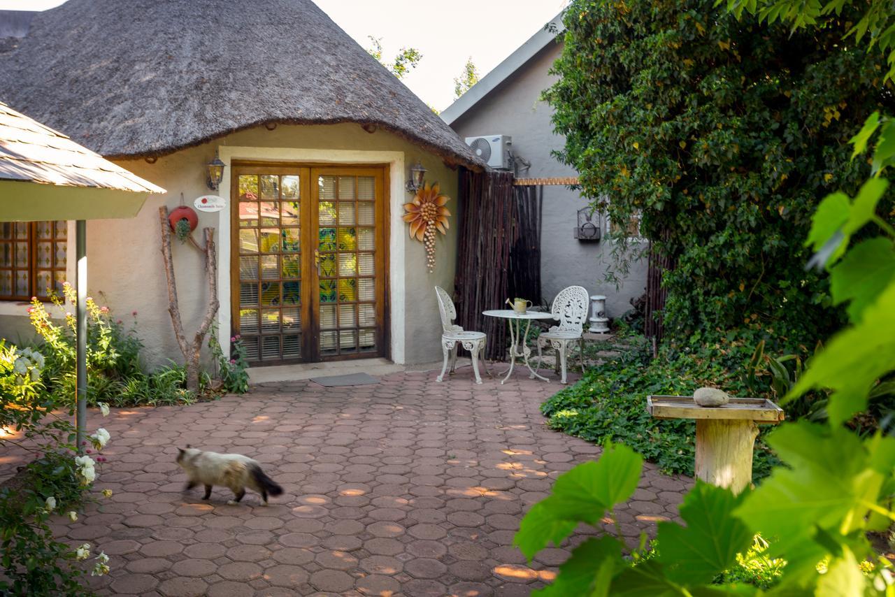 Morning Glory Cottages Venterstad Εξωτερικό φωτογραφία